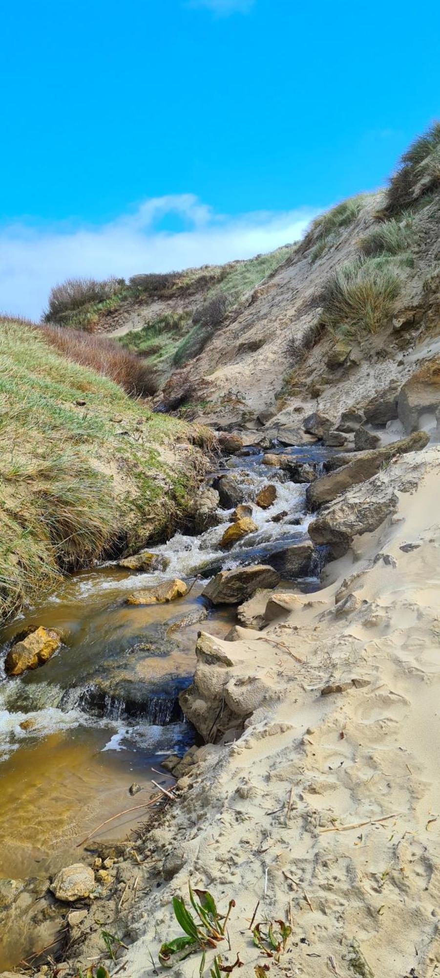 Le Sauvage * Equihen-Plage